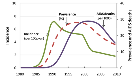 Halperin DT, Mugurungi O,
Hallett TB, Muchini B, Campbell B, et al. (2011) A Surprising Prevention
Success: Why Did the HIV Epidemic Decline in Zimbabwe? PLoS Med 8(2):
e1000414. doi:10.1371/journal.pmed.1000414, Fig. 1A